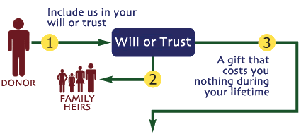 Gifts From Your Will or Trust